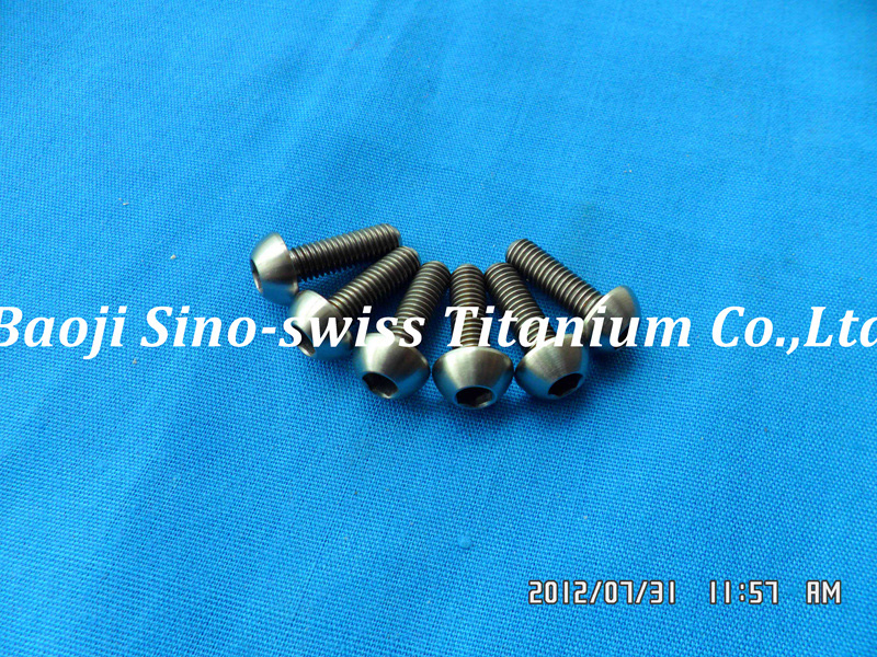 Round head titanium bolts ISO7380 pic 1