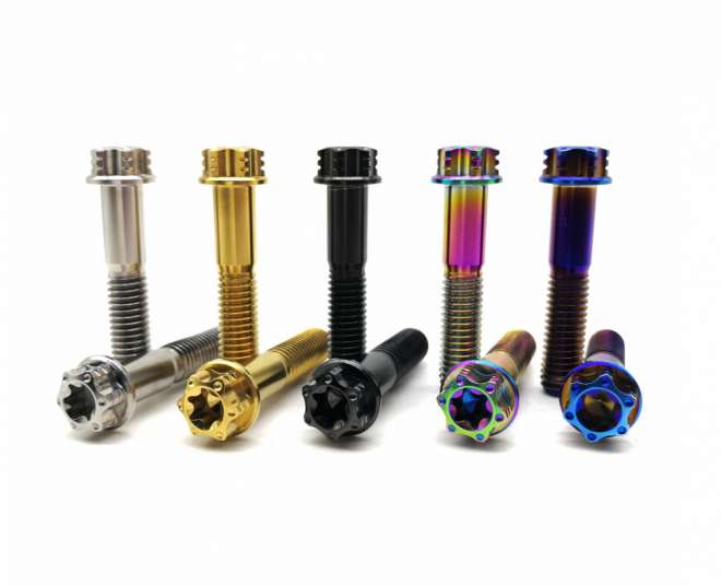 Torx titanium bolts for motorcycle