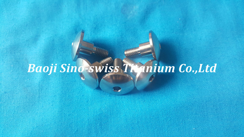 Titanium disc screw/bolts