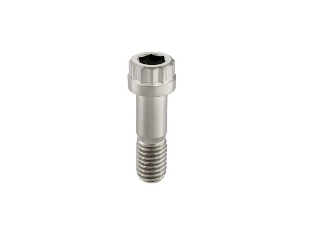 12PT Dual-Drive Titanium Screws