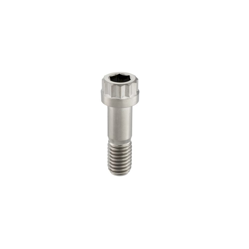 12PT Dual-Drive Titanium Screws