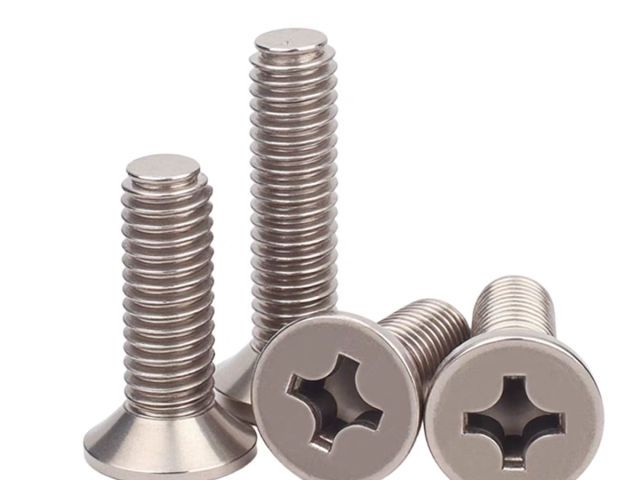 Phillips Countersunk Titanium Screw DIN965