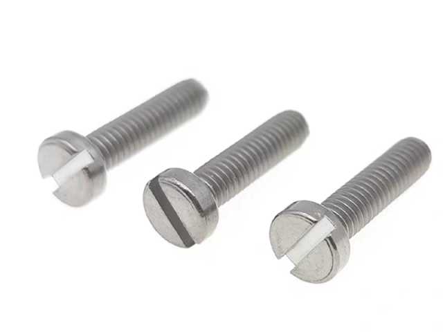 Slotted Cheese Head Titanium ScrewDIN84