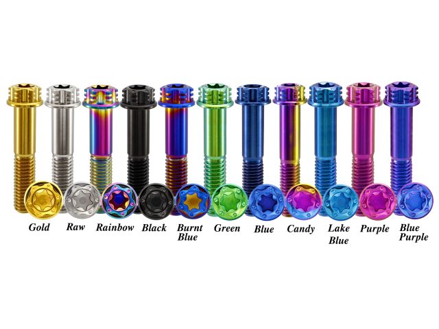 Titanium Bolt torx Head Dual Drive Flange Bolts