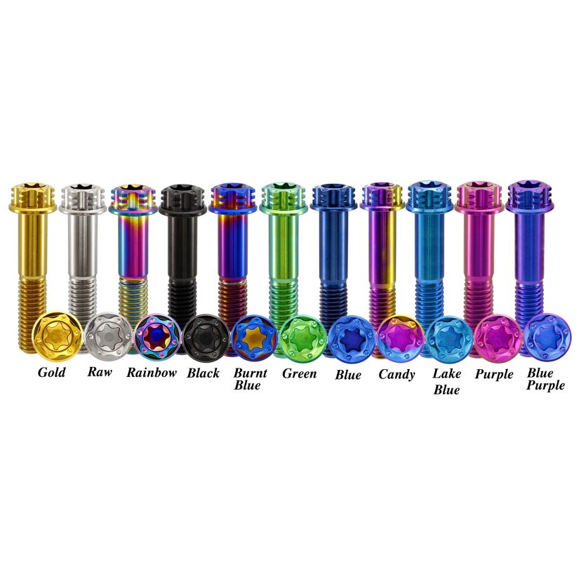 Titanium Bolt torx Head Dual Drive Flange Bolts