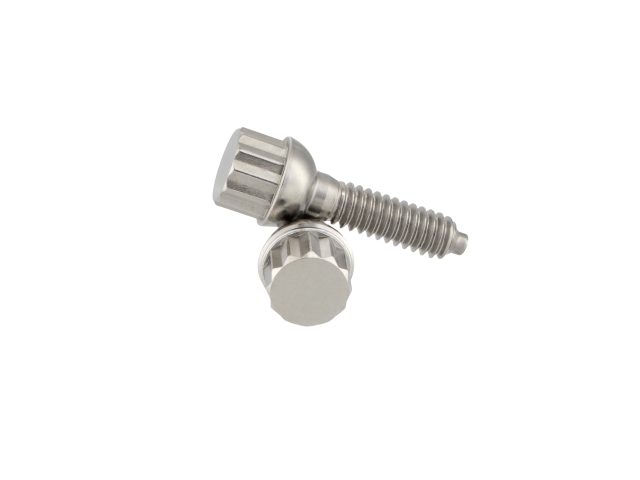 Titanium Bolts for Rims