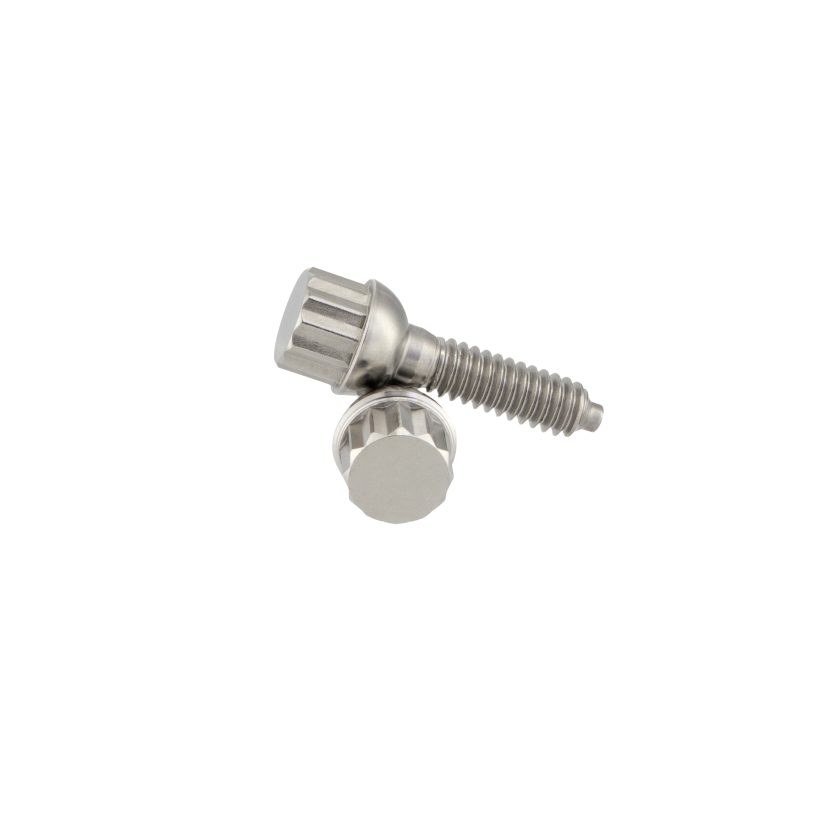 Titanium Bolts for Rims