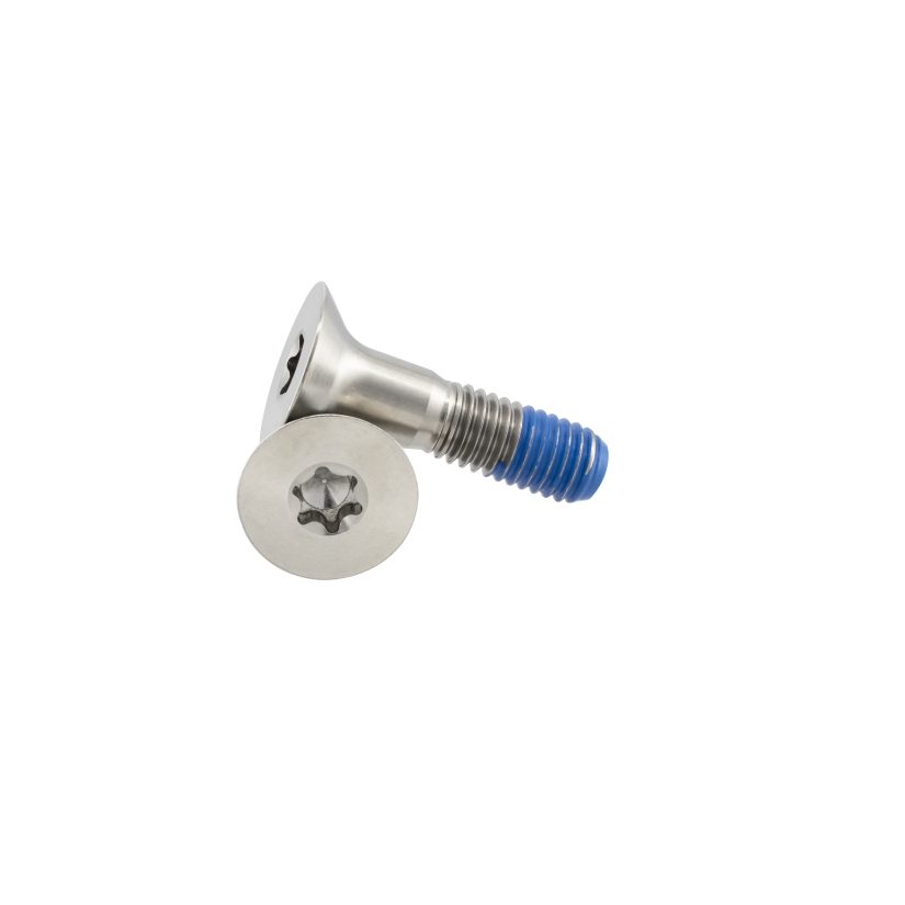 Titanium Flat Head Torx Screw