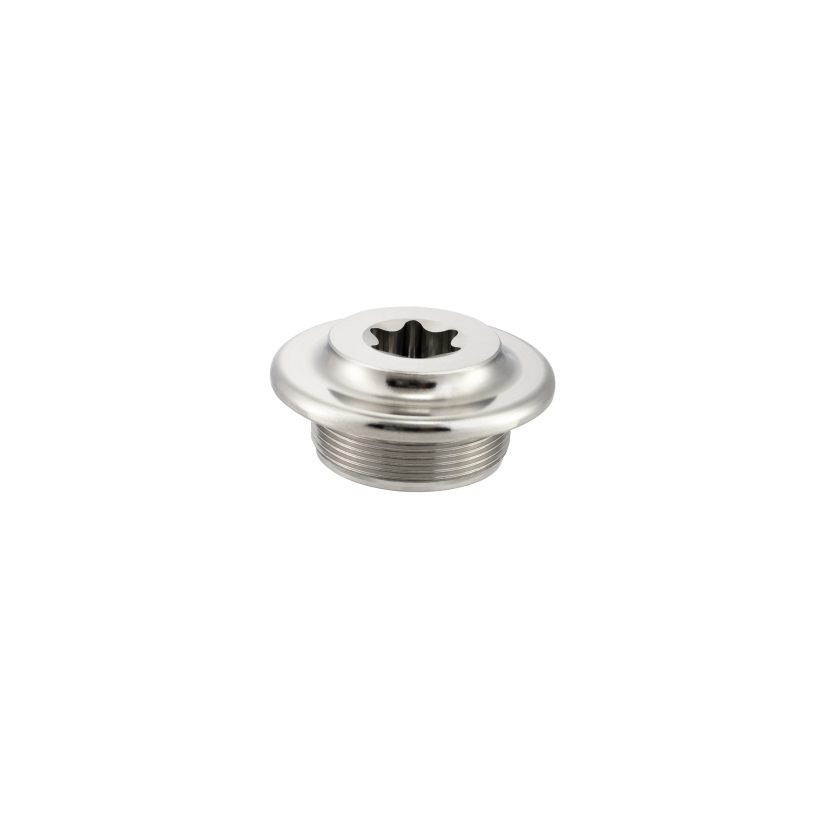 Titanium Oil Filler Cap Bolt