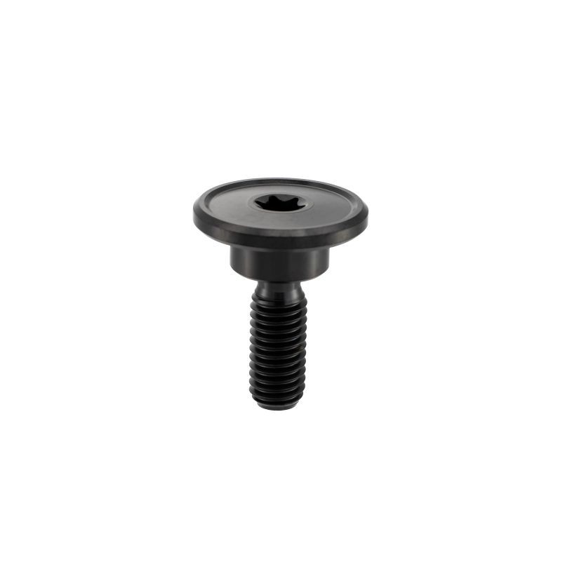 Titanium Sprocket Bolts
