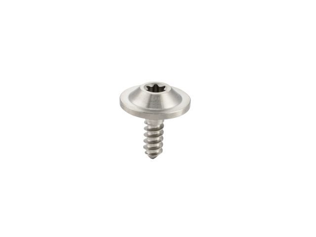 Torx Self-Tapping titanium Screws Flange Pan Head Panel