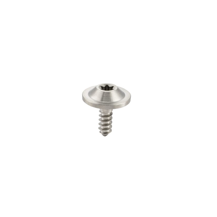Torx Self-Tapping titanium Screws Flange Pan Head Panel