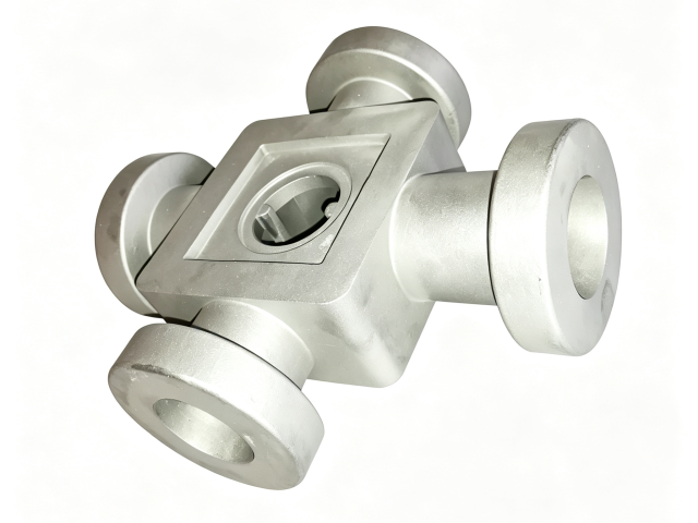 Titanium casting for valves
