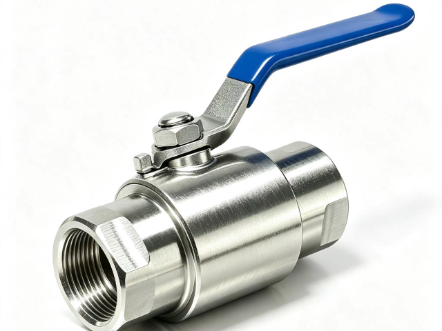 Titanium valve
