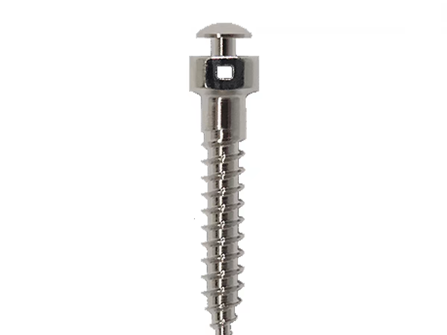 titanium Orthodontic Miniscrew or Orthodontic Anchorage Screw