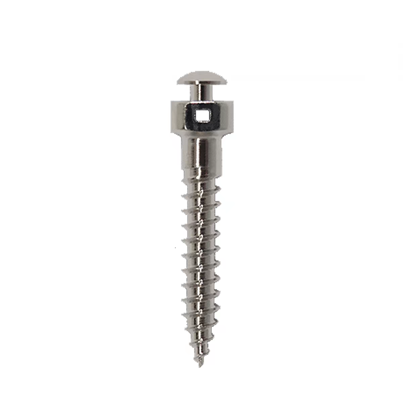 titanium Orthodontic Miniscrew or Orthodontic Anchorage Screw